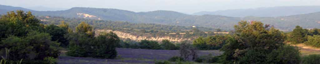 paysage de Haute Provence avec champ de lavandes et collines